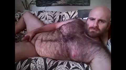 Hairiest Bear online show from 28, 10, 2025