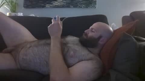 Hairiest Bear online show from 14, 6, 2026