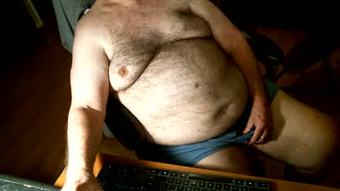 hairybear813 online show from 22, 12, 2024