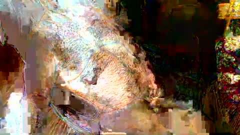 hairybear813 online show from 5, 1, 2025