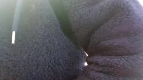 Snapshot of hairypussyxl chatting on 13, 1, 2025 hairypussyxl online show from 13, 1, 2025