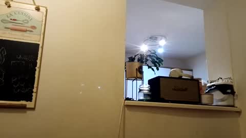 hakfin666 online show from 31, 1, 2025