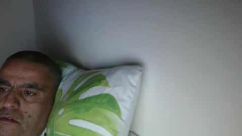 haled_77 online show from 31, 3, 2026