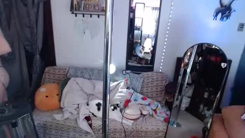 halovalentine online show from 26, 2, 2026