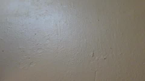 Snapshot of hamhead71 chatting on 27, 1, 2025 hamhead71 online show from 27, 1, 2025