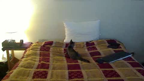 hammerthatthang73 online show from 16, 10, 2025