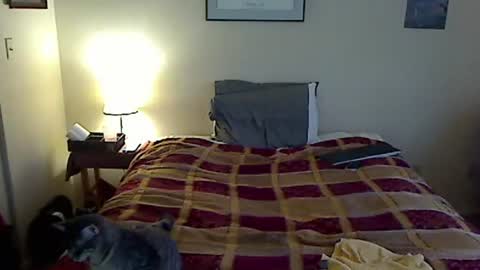 hammerthatthang73 online show from 20, 3, 2026