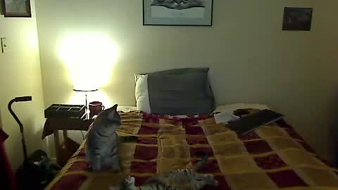 hammerthatthang73 online show from 30, 3, 2026