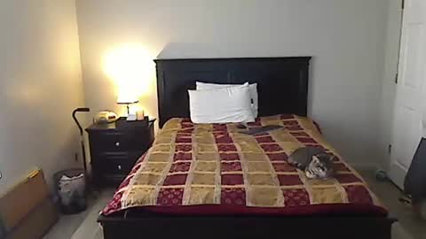 hammerthatthang73 online show from 12, 4, 2026