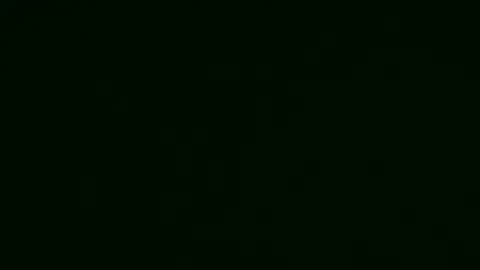Hamza online show from 5, 5, 2026