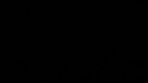 Handcyclist25 online show from 7, 3, 2025