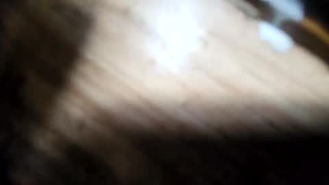 handymanglen online show from 13, 2, 2026