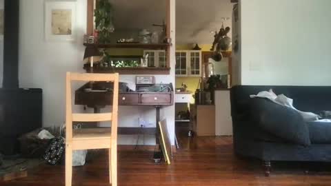 hanhuman online show from 30, 9, 2025