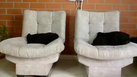 Snapshot of hanna_beily chatting on 20, 1, 2025 hanna online show from 20, 1, 2025