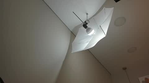 Hanna online show from 1, 4, 2026