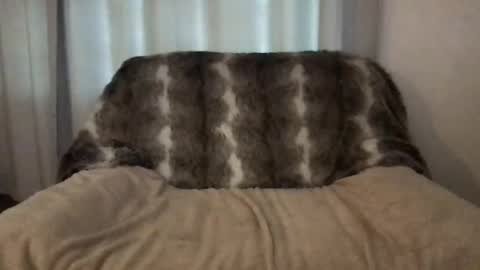 Snapshot of hannahsometimes694u chatting on 28, 3, 2026 hannahsometimes694u online show from 28, 3, 2026