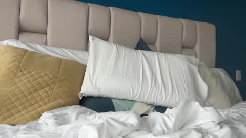 hanzlagerfelt online show from 4, 11, 2025