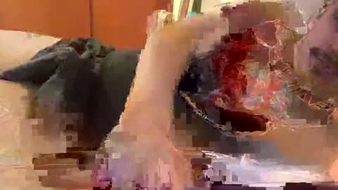 hardcock389397 online show from 27, 2, 2026