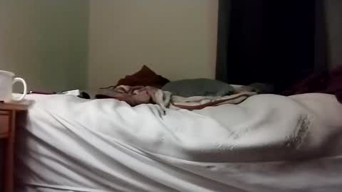 Snapshot of hardcock4u1973 chatting on 16, 1, 2025 hardcock4u1973 online show from 16, 1, 2025