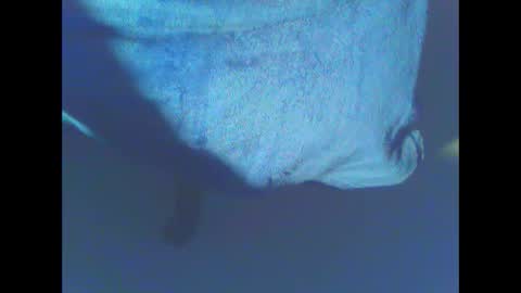 hardning online show from 28, 12, 2024