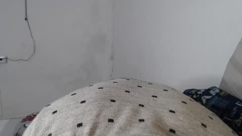 Hares online show from 15, 4, 2026