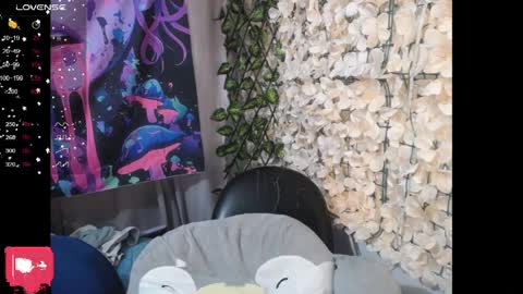 Harmonys World online show from 2, 4, 2026