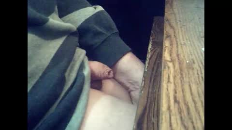 Snapshot of harold4848 chatting on 1, 2, 2025 harold4848 online show from 1, 2, 2025