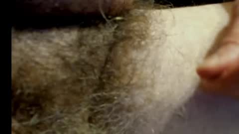 harry_banana online show from 20, 1, 2025