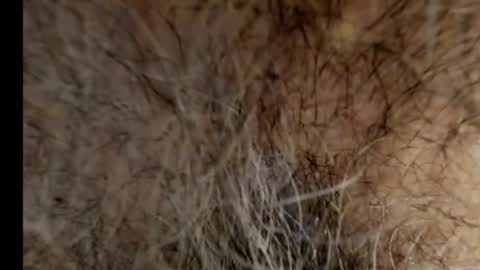 harry_banana online show from 21, 2, 2025