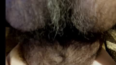 harry_banana online show from 8, 3, 2025