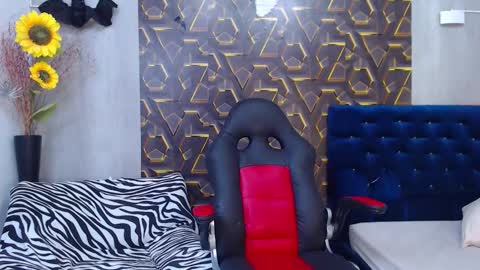 Snapshot of harry_jhonsonn chatting on 8, 11, 2025 Harry online show from 8, 11, 2025