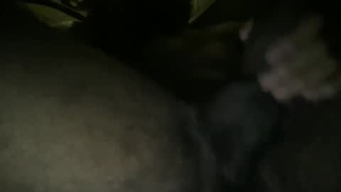 Snapshot of harrypahoot123 chatting on 8, 11, 2025 harrypahoot123 online show from 8, 11, 2025