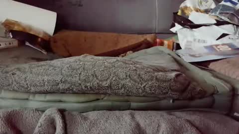 Snapshot of hartl1112 chatting on 4, 12, 2025 hartl1112 online show from 4, 12, 2025