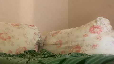 Snapshot of hattydee chatting on 27, 1, 2025 dee online show from 27, 1, 2025