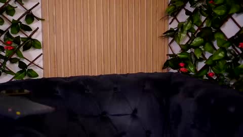 Snapshot of hayliemilf chatting on 22, 12, 2024 Haylie online show from 22, 12, 2024