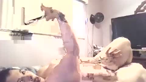 Snapshot of hazelbasil32728 chatting on 30, 10, 2025 hazelbasil32728 online show from 30, 10, 2025