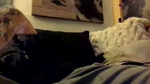 HBSethy online show from 11, 1, 2025