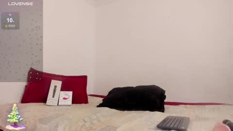 Snapshot of heavy_megan chatting on 22, 12, 2024 MEGAN online show from 22, 12, 2024