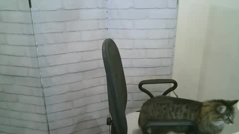 Helen online show from 13, 1, 2026