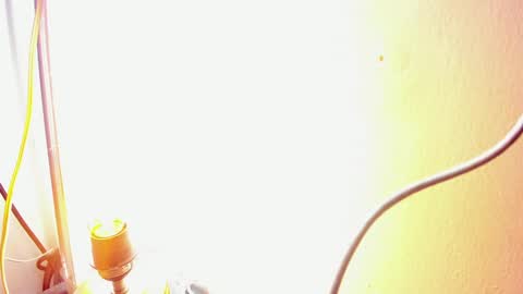 Helena Santos  online show from 5, 1, 2025