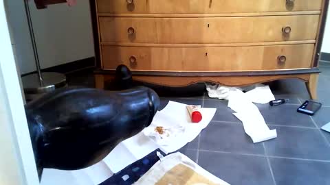 helisporty online show from 14, 11, 2025