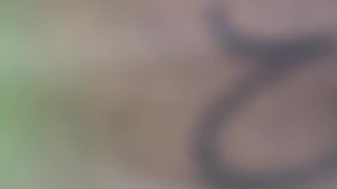 Snapshot of hellohowareyou66 chatting on 29, 11, 2025 hellohowareyou66 online show from 29, 11, 2025