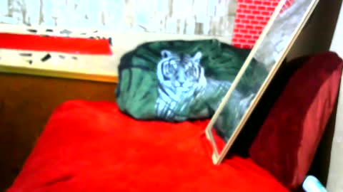 Snapshot of hhhjnf1 chatting on 17, 9, 2025 hhhjnf1 online show from 17, 9, 2025