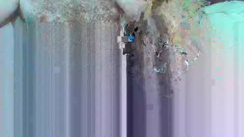 hi_to_you online show from 3, 6, 2026
