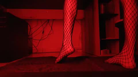 Snapshot of hibo66 chatting on 24, 11, 2025 InMyAss online show from 24, 11, 2025