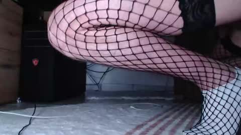 Snapshot of hibo66 chatting on 16, 12, 2025 InMyAss online show from 16, 12, 2025