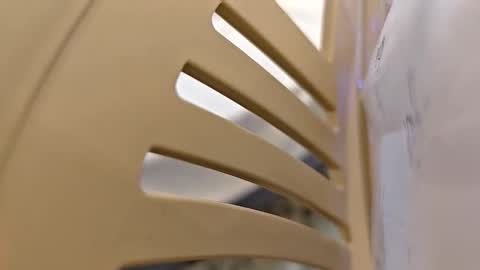 Arab Cock online show from 7, 2, 2026