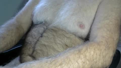 higgins11 online show from 30, 11, 2025