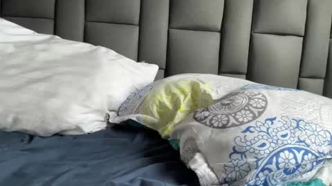 Terry and E online show from 21, 9, 2025