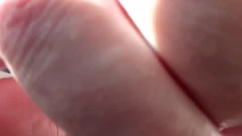 highsex28x online show from 6, 10, 2025